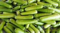 Ba loại dưỡng chất quý giá từ bí đỏ