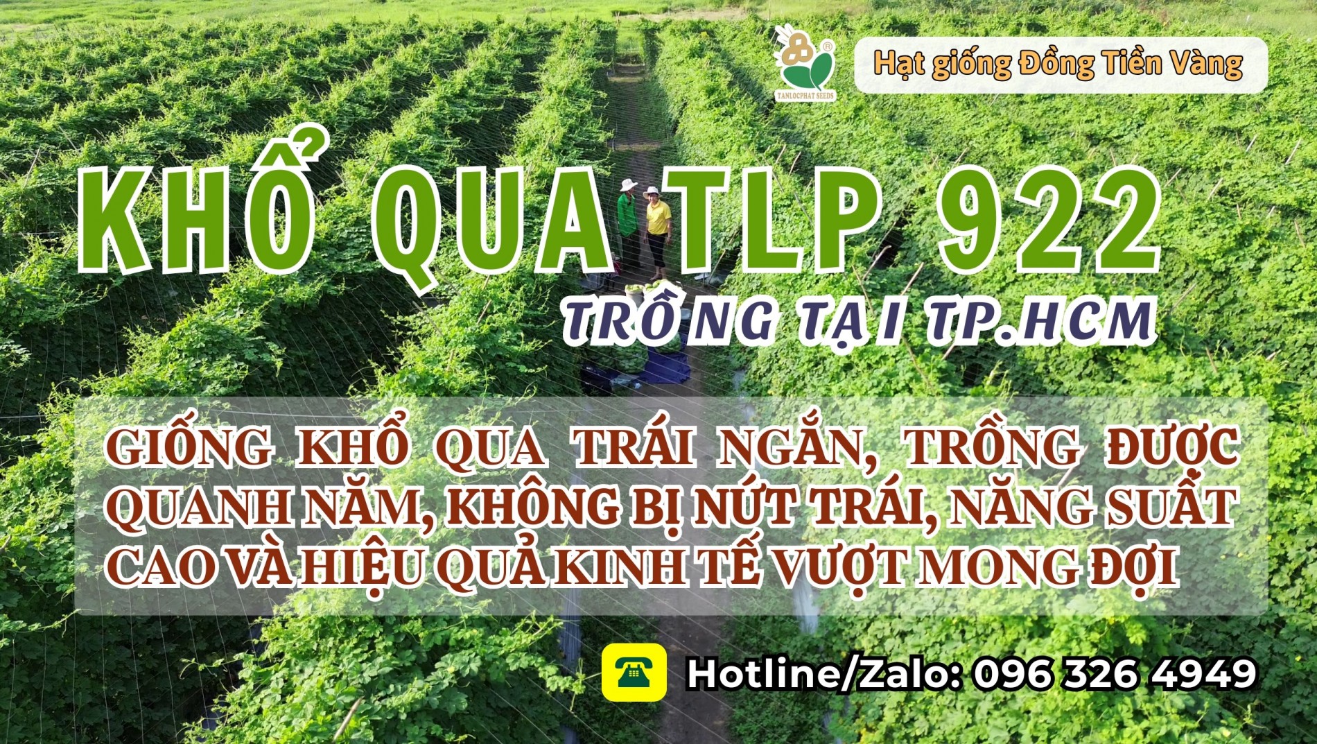 kho_qua_tlp_922_-_hcm