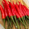 ot-hiem-lai-f1-red-sky-95 - ảnh nhỏ 5