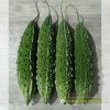 kho-qua-lai-f1-dragon-105 - ảnh nhỏ 5