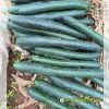 bi-dao-lai-f1-green-658 - ảnh nhỏ 4